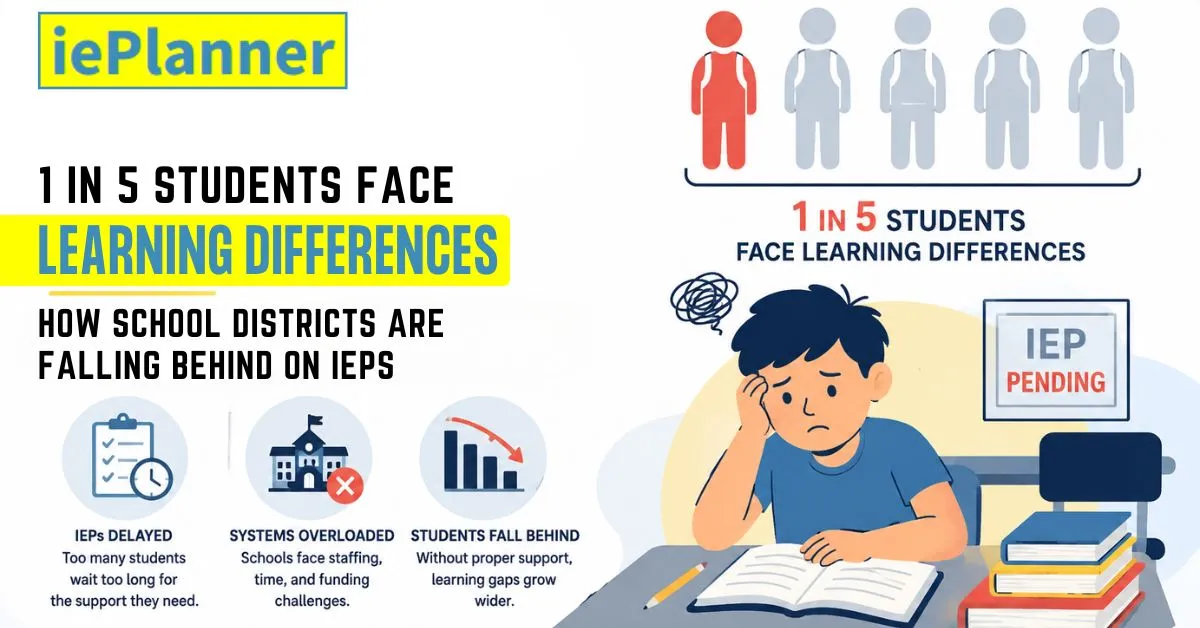 1 in 5 Students Face Learning Differences How School Districts Are Falling Behind on IEPs